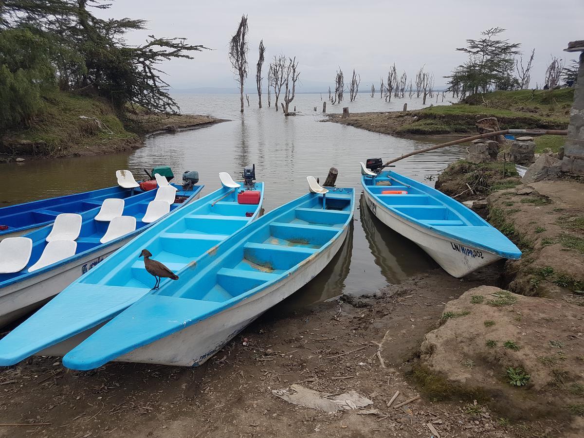 Hippo Safaris Resort Naivasha Eksteriør billede