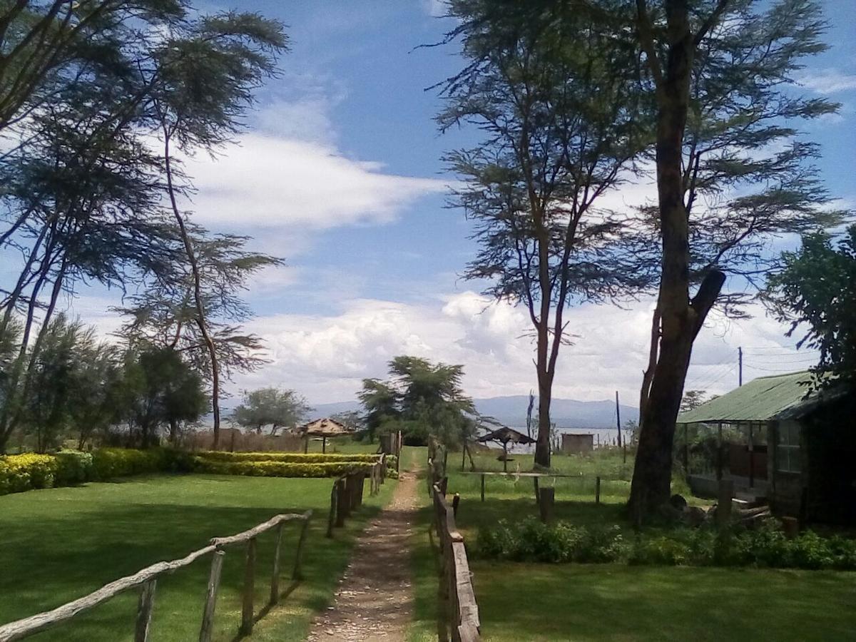 Hippo Safaris Resort Naivasha Eksteriør billede